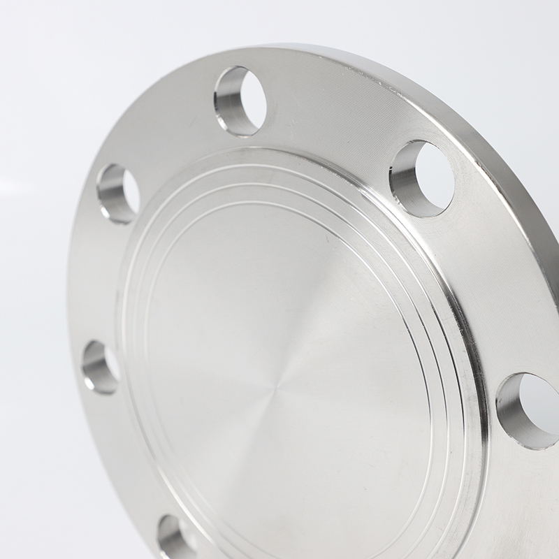 ANSI B16.5 300lb 스테인레스 스틸 블라인드 플랜지