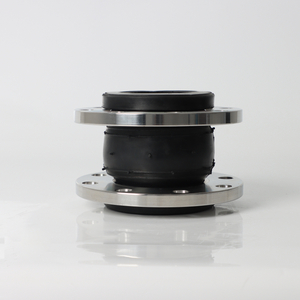 ISO 21593 유연한 조인트 플랜지