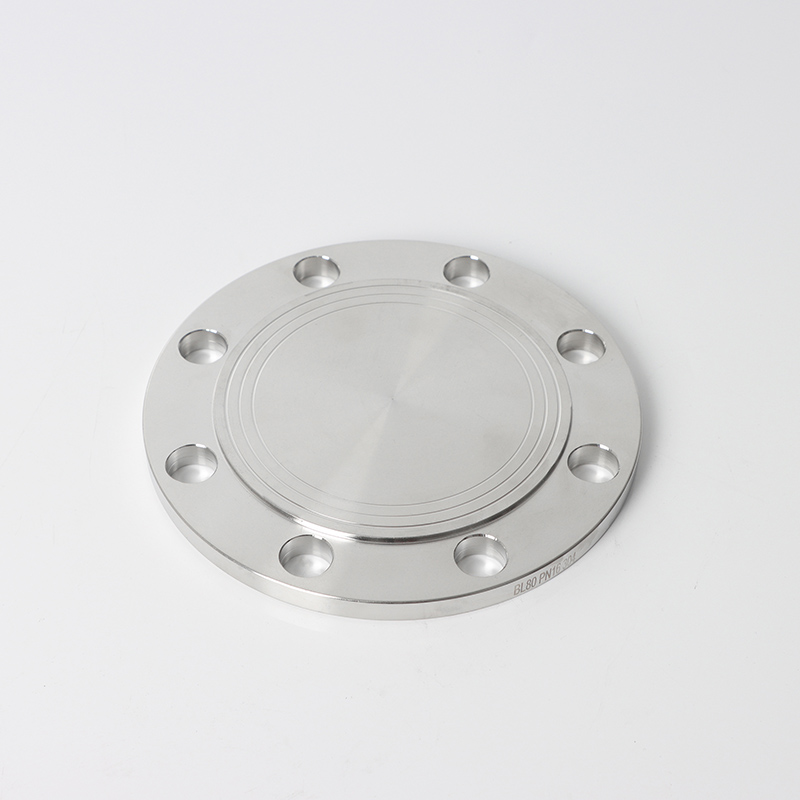ANSI B16.5 2500lb 스테인레스 스틸 CNC 오일 파이프 BL 블라인드 플랜지의 가공