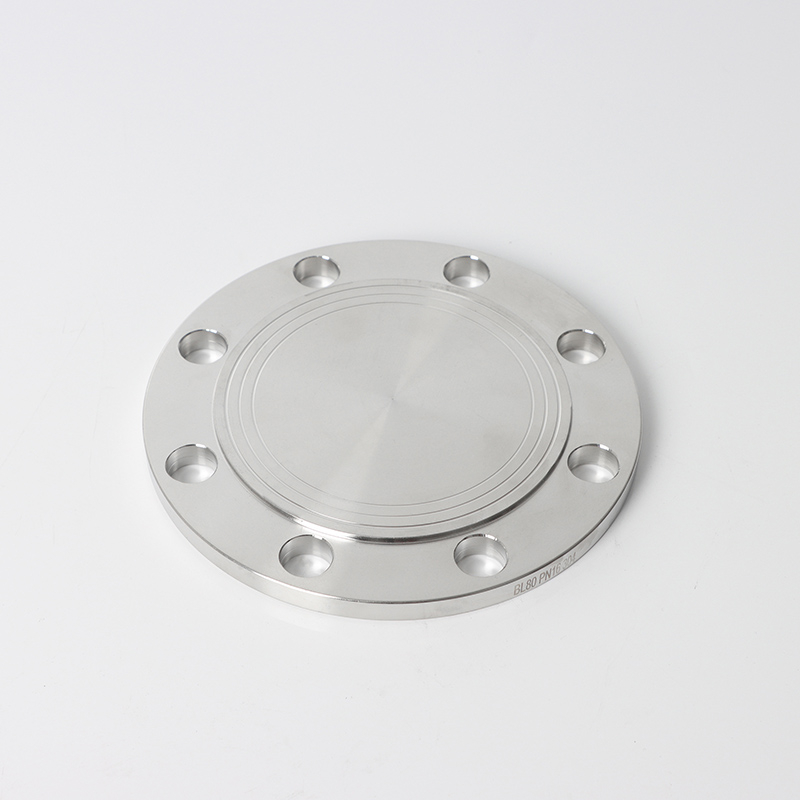 EN 1092-1 05B DN25 PN25 SS 블라인드 플랜지